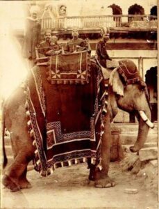 Kunwar Keher Singhji and Kunwar Bhoop Singhji of Bhiraoti Raj during a ceremonial function